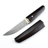 Damascus Straight Knife Raiz Collectible Fixed Blade - 5676