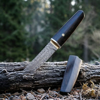 Damascus Straight Knife Raiz Collectible Fixed Blade - 5676