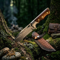 Damascus Straight Knife Tianyi Layered Steel Straight - 5725