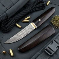 Damascus Straight Knife Raiz Collectible Fixed Blade - 5676