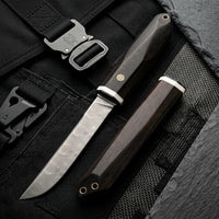 Damascus Straight Knife Bene Collectible Fixed Blade - 5743