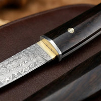 Damascus Straight Knife Raiz Collectible Fixed Blade - 5676