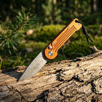Spring Automatic Knife Ameri Collectible OTF Gift - 4200