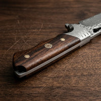 Damascus Straight Knife Tianyi Layered Steel Straight - 5725