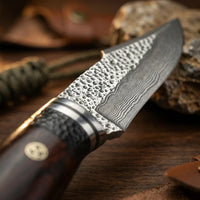 Damascus Straight Knife Blac Collectible Fixed Blade - 5628
